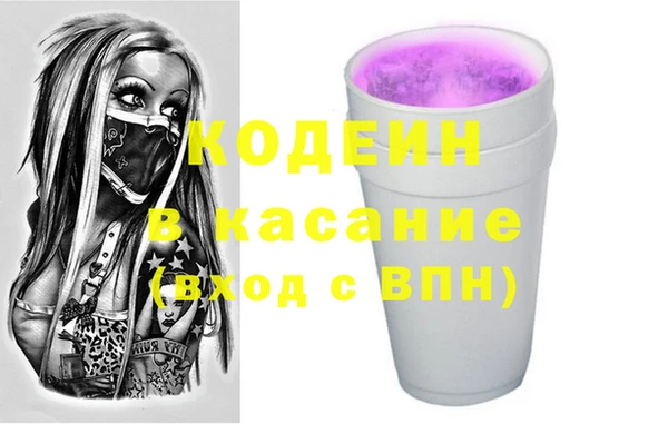 индика Армянск