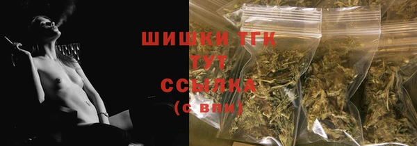индика Армянск