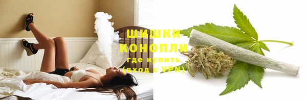 индика Армянск