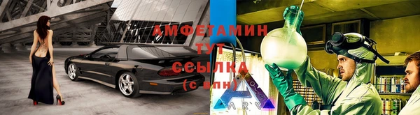 индика Армянск