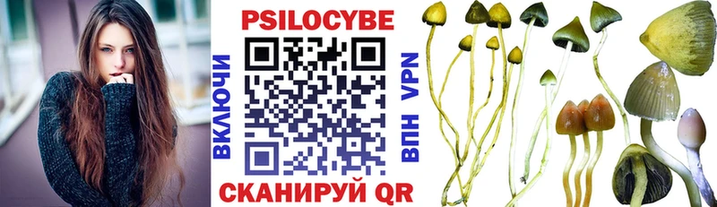 Галлюциногенные грибы GOLDEN TEACHER Зима