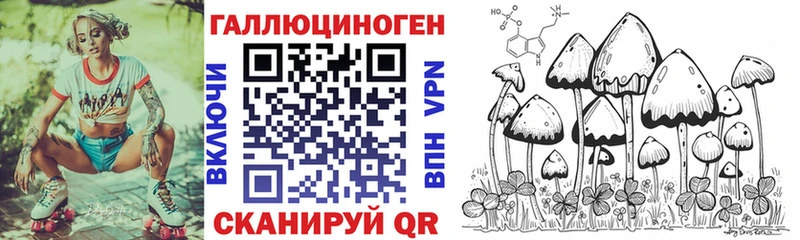 блэк спрут рабочий сайт  Зима  Галлюциногенные грибы мицелий 